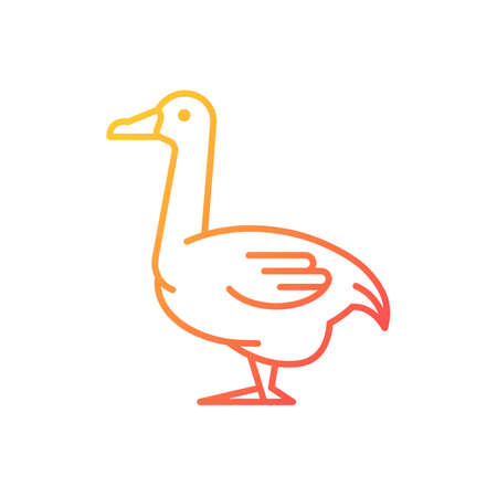 Goose gradient linear vector icon. Poultry farming. Commercial geese growing. Waterfowl. Canadian and white goose. Thin line color symbol. Modern style pictogram. Vector isolated outline drawingのイラスト素材