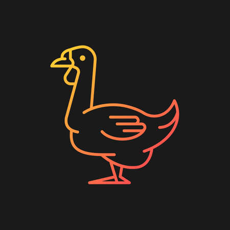 African goose gradient vector icon for dark theme. Waterfowl. Domestic geese. Commercial poultry farming for food. Thin line color symbol. Modern style pictogram. Vector isolated outline drawingのイラスト素材