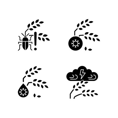 Crop loss reasons black glyph icons set on white space. Pests danger. Crop diseases. Unsafe water. Adverse weather and climate changes. Silhouette symbols. Vector isolated illustrationのイラスト素材