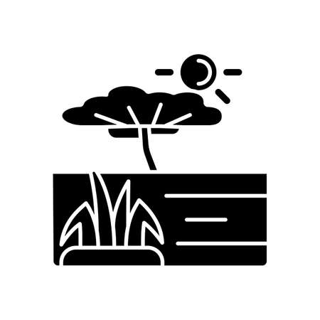Savanna black glyph icon. African grassland and woodland. Plain tropical land with separated trees. Warm and dry climate region. Silhouette symbol on white space. Vector isolated illustrationのイラスト素材