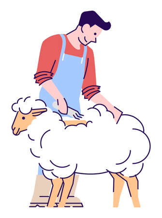 Farmworker with lamb semi flat RGB color vector illustration. Male livestock farmer shearing sheep isolated cartoon character on white backgroundのイラスト素材