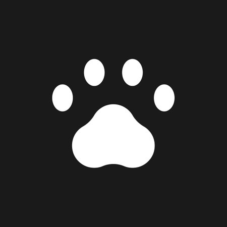 Pet paw dark mode glyph ui icon. Goods for domestic animals. user interface design. White silhouette symbol on black space. Solid pictogram for web, mobile. Vector isolated illustrationのイラスト素材