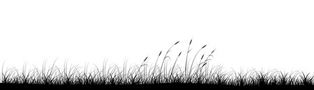Reeds in meadow grass panoramic background design. wild nature. Vector illustration with empty copy space for text. Editable shape for poster decoration. creative and customizable panorama imageのイラスト素材