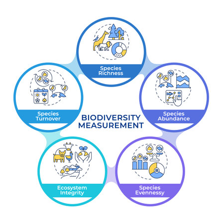 Biodiversity measurement infographic circles flowchart. Species richness, abundance, evenness. Data visualization with 5 steps. Circular info graphic editable. Montserrat SemiBold font usedのイラスト素材