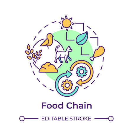 Food chain multi color concept icon. Ecological balance. Flow of energy within ecosystems. Predator and prey. Round shape line illustration. Abstract idea. Graphic design. Easy to use in articleのイラスト素材