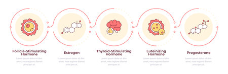 Hormones infographic 5 steps. Women health support. Reproductive system care. Medical diagnostics. Flow chart infochart. Editable vector info graphics icons. Montserrat-SemiBold, Regular fonts usedのイラスト素材