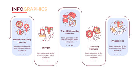 Hormones rectangle infographic vector. Women health support. Reproductive system care. Data visualization with 5 steps. Editable rectangular options chart. Lato-Bold, Regular fonts usedのイラスト素材