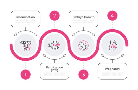 Reproductive health infographic pink line circles. Artificial insemination. Prenatal care service. Editable thin line icons diagram process with 4 steps. Montserrat-SemiBold, Regular fonts usedのイラスト素材
