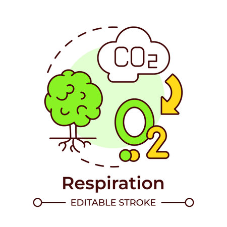 Respiration multi color concept icon. Carbon dioxide, plant photosynthesis. Ecology impact. Round shape line illustration. Abstract idea. Graphic design. Easy to use in article, brochureのイラスト素材