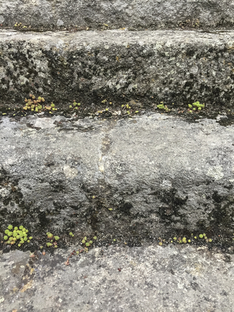 stone stairs