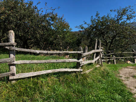 wood fenceの写真素材