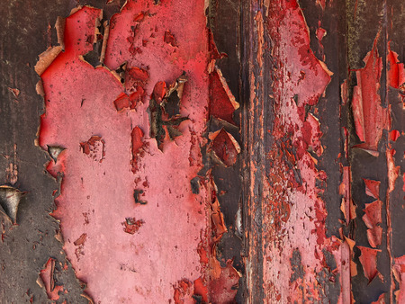 Scratched wood door, full frame shot of texture of scratched painted door.の写真素材
