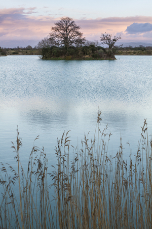 Antela marsh at sunset, Galicia, Spain.の写真素材