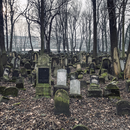Krakow, Lesser Poland / Poland - Feb 03 2018: New Jewish Cemetery? ? ? ?, ? ? ? ? ?Krakow, Poland.のeditorial素材
