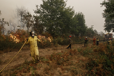 Maceda, Galicia / Spain - Oct 16 2017: Firemen in forest fire.のeditorial素材