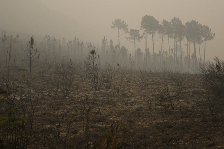 Maceda, Galicia / Spain - Oct 16 2017: Forest fire.のeditorial素材