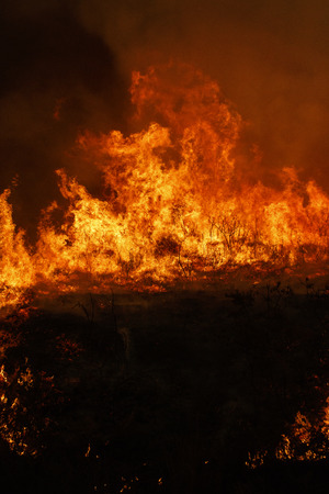 Maceda, Galicia / Spain - Oct 16 2017: Forest fire.