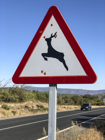 wild animal crossing signal with bullet holesの写真素材