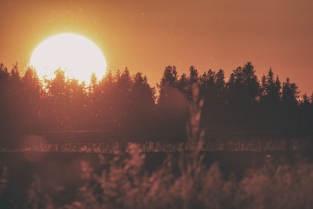 sunset over forest in Finland.の写真素材