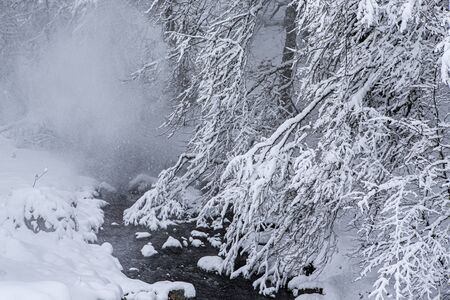 Snowy forest in winter, Spain.の写真素材
