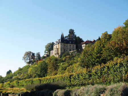 The Haardter Castle at the German Winestreetのeditorial素材