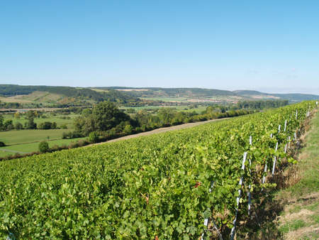 The landscape in the valley of the river called Altmühlの写真素材