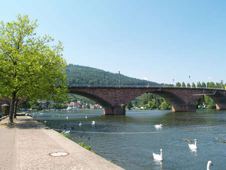 Riverwalk and bikeway at the river Main in Miltenbergの写真素材