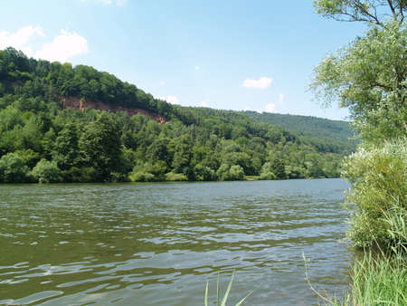 Forest and rock landscape at the river Mainの写真素材