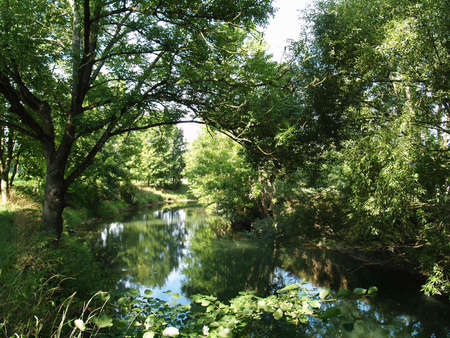 Mystic riverscape at the Tauberの写真素材