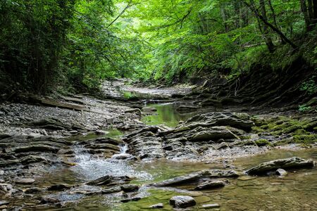road to waterfalls and river. summer forestの写真素材