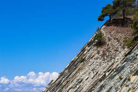 The top of the cliff with trees against the bright blue sky with clouds, in the wild beach area....
