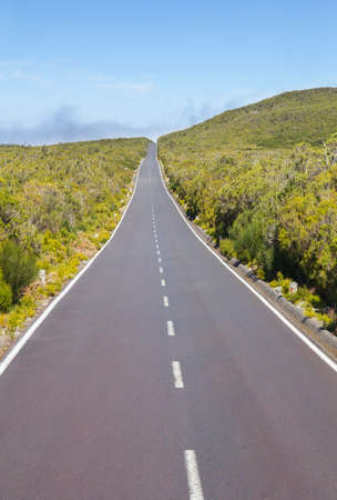 Empty  road on Paul da Serra plateau on the island of Madeira, Portugal.の写真素材