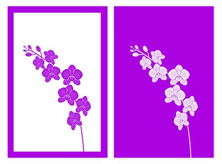 isolated orchid flower,vector illustrationのイラスト素材