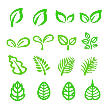 leaf line iconのイラスト素材