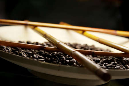 coffee seedsの写真素材