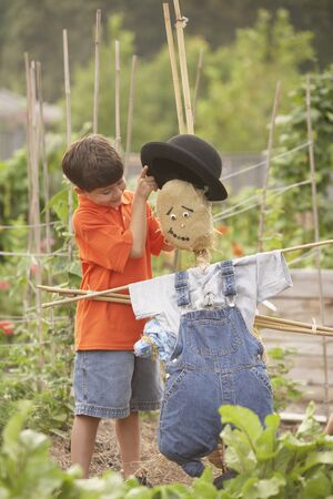 Young Hispanic boy putting hat on scarecrowの写真素材