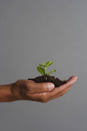 Close up of hand holding mound of dirt and plantの写真素材