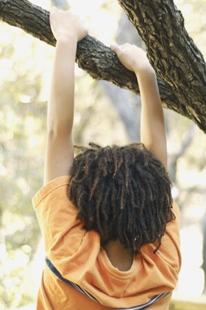 Young boy hanging from a tree branchの写真素材