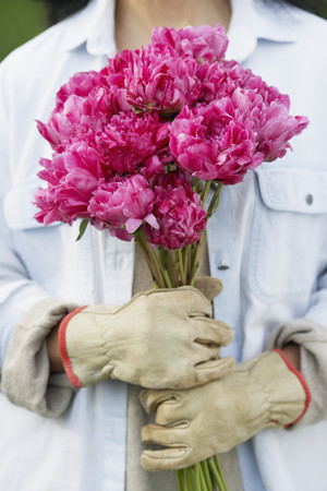 Hispanic woman holding cut flowersの写真素材
