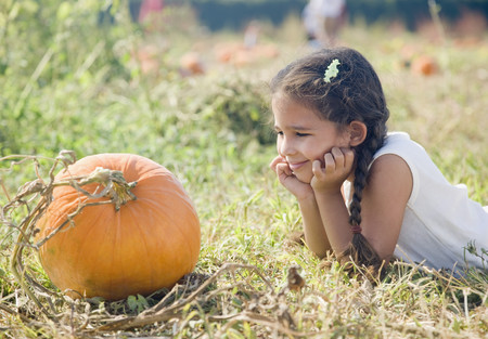 Hispanic girl looking at pumpkinの写真素材