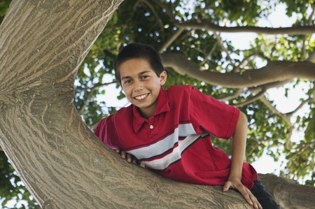 Hispanic boy climbing treeの写真素材