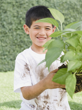 Mixed race boy holding garden plantの写真素材