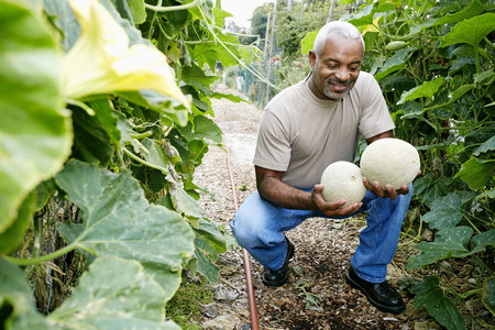 Black man holding cantaloupe in community gardenの写真素材