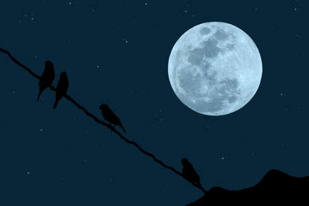 Full moon with silhouette birds on electric wires at night.の写真素材