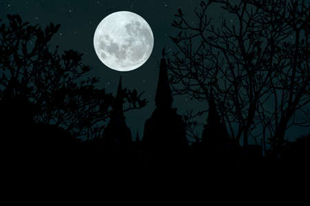 Full moon with pagoda and tree silhouette in the dark night.の写真素材