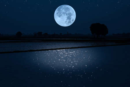 Full moon over water at night.