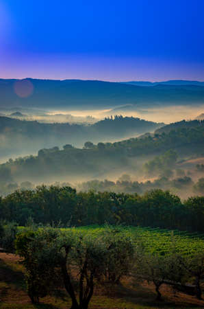 Panorama of Tuscan vineyard covered in fog at the dawn near Castellina in Chianti, Italy.の写真素材