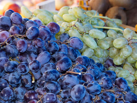 Blue and green grapes lie on a store counter. Colorful background of different grape varietiesの写真素材