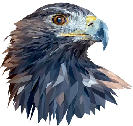 The head of a golden eagle close-up. The bird turned its head to the left. Vector. Polygonal graphics.のイラスト素材