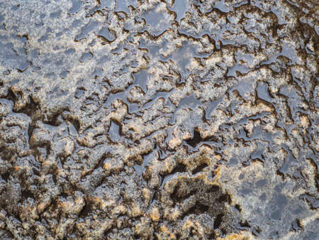 An old stone pavement is flooded with water. On the stone there are a lot of bumps and grooves....
